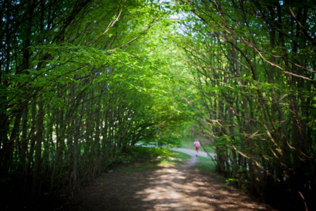 Общество, Шведским женщинам не рекомендуют находится на улице поздно вечером | Шведским женщинам не рекомендуют находится на улице поздно вечером